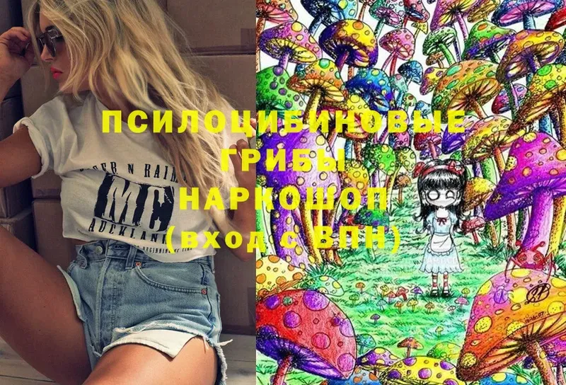 Галлюциногенные грибы Psilocybe  Ермолино 